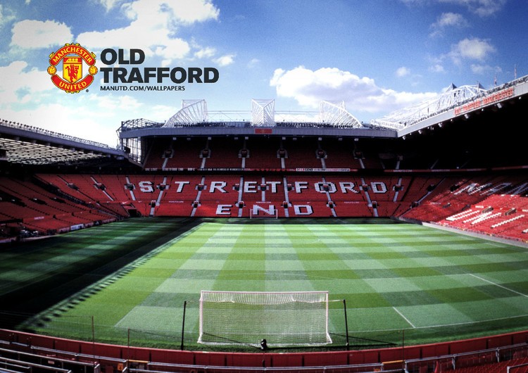 今年的一些 今年的一些